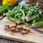 dandelion root tea benefits